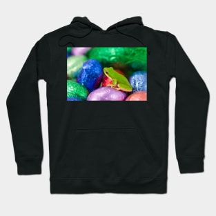 I wanna be a Freddo when I grow up! Hoodie